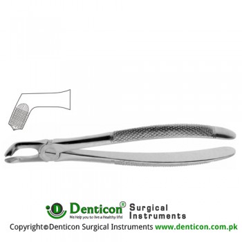 English Pattern Tooth Extracting Forcep Fig. 79 (For Lower Wisdoms) Stainless Steel, Standard